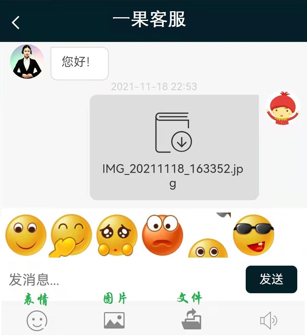 案例22网页在线客服聊天系统